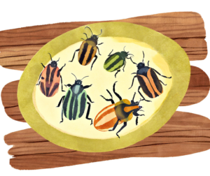 watercolor of beetles on a plate